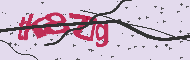 Codice captcha